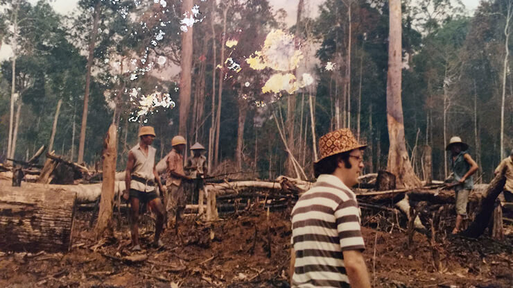 Arbeiter roden neues Land für die Landwirtschaft in Sumatra, Indonesien.